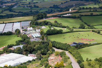 Marldon dans le département Angleterre, Grande Bretagne depuis l'avion