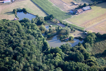Dollon dans le département Sarthe, France vue d'en haut