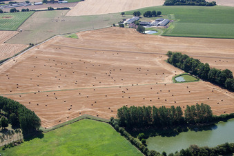 Vue aérienne de Structures des champs de céréales à Melleray dans le département Sarthe, France