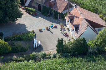 Vue oblique de La Petite Franchaise (Apiculteur) à Coudrecieux dans le département Sarthe, France