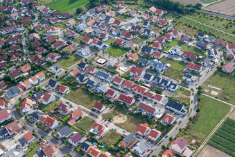 Vue aérienne de Nouvelle zone de développement sur Römerstr. à Rheinzabern dans le département Rhénanie-Palatinat, Allemagne