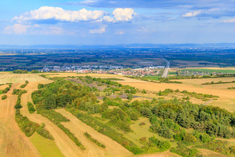 Vue aérienne de Gemeindeberg Grünstadt Am Eichenwäldchen à le quartier Sausenheim in Grünstadt dans le département Rhénanie-Palatinat, Allemagne