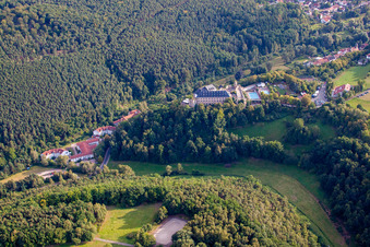 Vue aérienne de Auberge de jeunesse du Château à Altleiningen dans le département Rhénanie-Palatinat, Allemagne