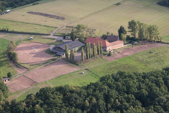 Vue aérienne de Domaine d'une ferme Gartenhof dans le district de Höningen à Altleiningen dans le département Rhénanie-Palatinat, Allemagne