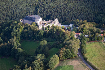 Altleiningen dans le département Rhénanie-Palatinat, Allemagne du point de vue du drone