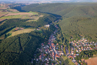 Vue aérienne de Quartier de Höningen à Altleiningen dans le département Rhénanie-Palatinat, Allemagne