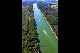Vue aérienne de Cours du Rhin depuis le nord à Leimersheim dans le département Rhénanie-Palatinat, Allemagne