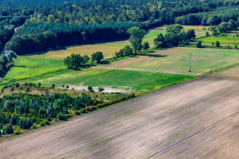 Vue aérienne de Prairies à Erlenbach à Hatzenbühl dans le département Rhénanie-Palatinat, Allemagne