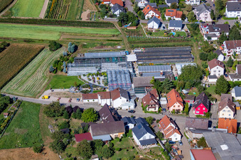 Vue aérienne de 1A Jardin Hopp à le quartier Bodersweier in Kehl dans le département Bade-Wurtemberg, Allemagne