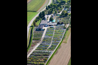 Vue aérienne de Toits en verre dans les rangées de serres pour la culture de fleurs par Gartenzeiten Schwarz à le quartier Bodersweier in Kehl dans le département Bade-Wurtemberg, Allemagne