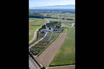 Vue oblique de Garden Times Black à le quartier Bodersweier in Kehl dans le département Bade-Wurtemberg, Allemagne