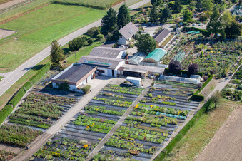Garden Times Black à le quartier Bodersweier in Kehl dans le département Bade-Wurtemberg, Allemagne hors des airs