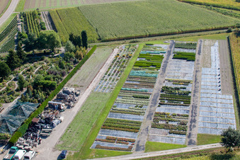 Garden Times Black à le quartier Bodersweier in Kehl dans le département Bade-Wurtemberg, Allemagne vue d'en haut
