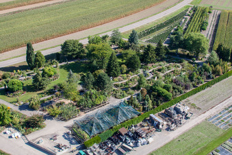 Garden Times Black à le quartier Bodersweier in Kehl dans le département Bade-Wurtemberg, Allemagne depuis l'avion