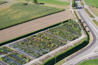 Garden Times Black à le quartier Bodersweier in Kehl dans le département Bade-Wurtemberg, Allemagne vue du ciel