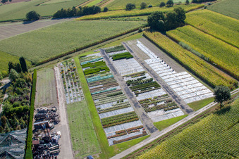 Enregistrement par drone de Garden Times Black à le quartier Bodersweier in Kehl dans le département Bade-Wurtemberg, Allemagne