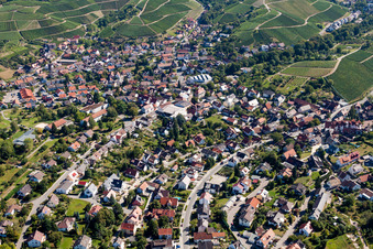 Vue aérienne de Vignobles à Zell-Weierbach à le quartier Zell in Offenburg dans le département Bade-Wurtemberg, Allemagne