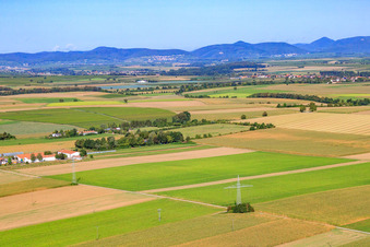 Vue aérienne de Schossberghof vu de l'est à Minfeld dans le département Rhénanie-Palatinat, Allemagne