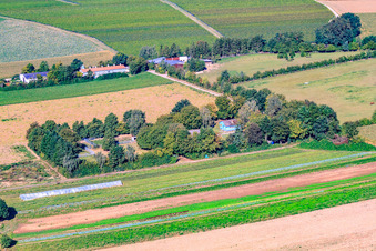 Vue aérienne de École de filtration Zimek, pension pour chiens à Minfeld dans le département Rhénanie-Palatinat, Allemagne