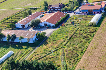Vue aérienne de Schossberghof vu du nord à Minfeld dans le département Rhénanie-Palatinat, Allemagne