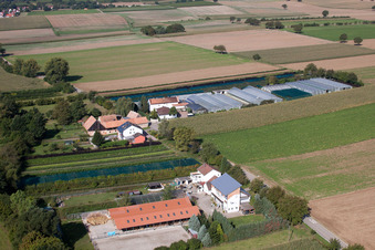 Nursery à Vollmersweiler dans le département Rhénanie-Palatinat, Allemagne hors des airs