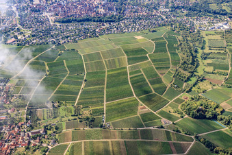 Vue aérienne de Vignoble de Sonnenberg en France à le quartier Schweigen in Schweigen-Rechtenbach dans le département Rhénanie-Palatinat, Allemagne