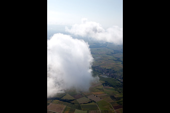 Riedseltz dans le département Bas Rhin, France d'un drone