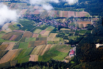 Vue aérienne de Coopérative de vignerons à Cleebourg dans le département Bas Rhin, France