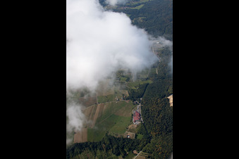 Photographie aérienne de Coopérative de vignerons à Cleebourg dans le département Bas Rhin, France