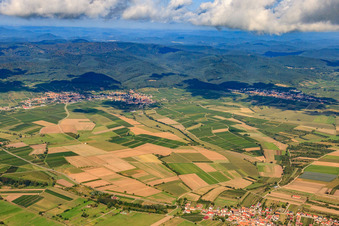 Vue aérienne de Champs de Schweighofen à Schweigen à le quartier Schweigen in Schweigen-Rechtenbach dans le département Rhénanie-Palatinat, Allemagne