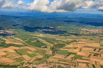 Vue aérienne de Champs de Schweighofen à Oberotterbach à Oberotterbach dans le département Rhénanie-Palatinat, Allemagne