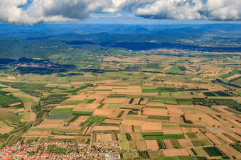Vue aérienne de Haftelhof à Schweighofen dans le département Rhénanie-Palatinat, Allemagne
