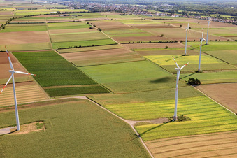 Photographie aérienne de Éoliennes du parc éolien Minfeld à Minfeld dans le département Rhénanie-Palatinat, Allemagne