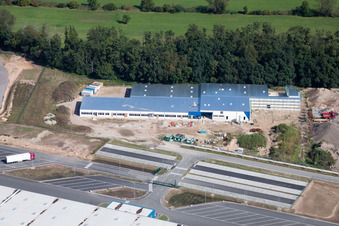 Vue aérienne de Zone industrielle de Horst, Alfa Aesar Thermo Fisher à le quartier Minderslachen in Kandel dans le département Rhénanie-Palatinat, Allemagne