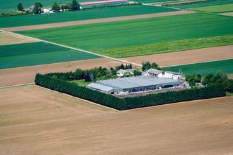 Vue aérienne de Blättnerhof à Steinweiler dans le département Rhénanie-Palatinat, Allemagne