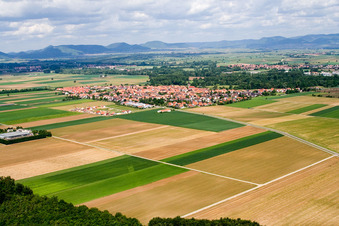 Vue aérienne de Ville du sud-est à Steinweiler dans le département Rhénanie-Palatinat, Allemagne