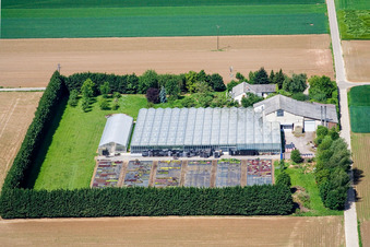 Vue aérienne de Blättnerhof à Steinweiler dans le département Rhénanie-Palatinat, Allemagne