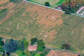 Vue aérienne de Seehof (labyrinthe de maïs) à Leimersheim dans le département Rhénanie-Palatinat, Allemagne