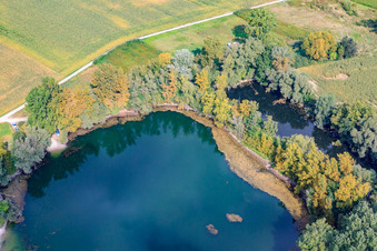 Vue aérienne de Lac dans les prairies du Rhin à Leimersheim dans le département Rhénanie-Palatinat, Allemagne