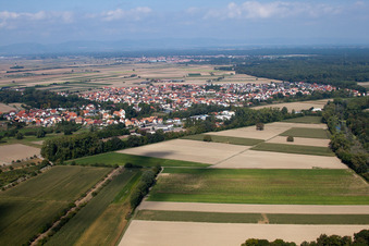 Photographie aérienne de Champs agricoles et terres agricoles à Hördt dans le département Rhénanie-Palatinat, Allemagne