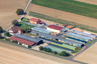Vue aérienne de Appartement de vacances Markus Fischer à Hördt dans le département Rhénanie-Palatinat, Allemagne
