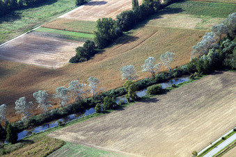 Vue aérienne de Klingbach à Rülzheim à Rülzheim dans le département Rhénanie-Palatinat, Allemagne