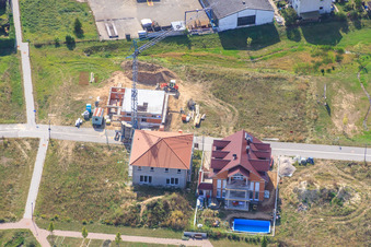 Vue aérienne de Au champ de maïs à Kandel dans le département Rhénanie-Palatinat, Allemagne