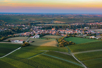 Vue aérienne de Du sud à le quartier Ingenheim in Billigheim-Ingenheim dans le département Rhénanie-Palatinat, Allemagne