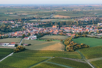 Photographie aérienne de Du sud à le quartier Ingenheim in Billigheim-Ingenheim dans le département Rhénanie-Palatinat, Allemagne