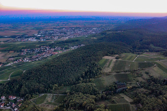 Vue d'oiseau de Haardtrand Wolfsteig à Pleisweiler-Oberhofen dans le département Rhénanie-Palatinat, Allemagne