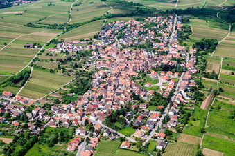 Vue aérienne de Vue des rues et des maisons dans les quartiers résidentiels à le quartier Arzheim in Landau in der Pfalz dans le département Rhénanie-Palatinat, Allemagne