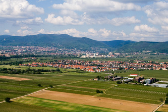 Vue aérienne de De l'est à le quartier Mußbach in Neustadt an der Weinstraße dans le département Rhénanie-Palatinat, Allemagne