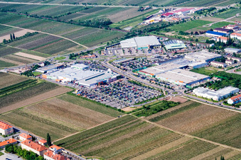 Vue aérienne de Globe à Neustadt an der Weinstraße dans le département Rhénanie-Palatinat, Allemagne