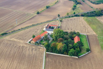 Vue aérienne de Domaine de Dahlem à Gundersheim dans le département Rhénanie-Palatinat, Allemagne